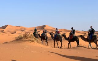 Karavana Wadi Rum