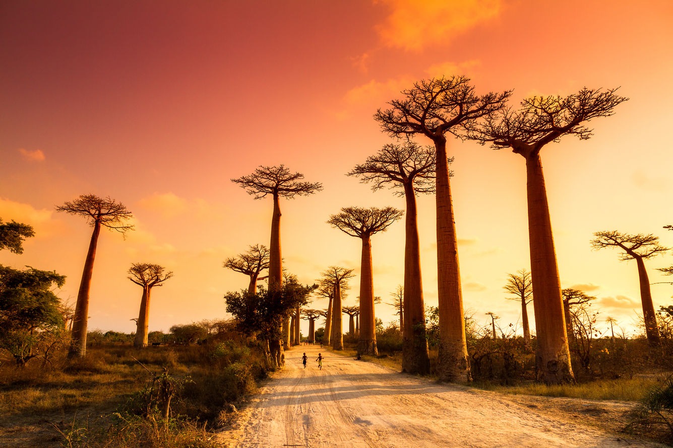 Příroda a lidé Madagaskaru | Poznávací zájezdy na Madagaskar