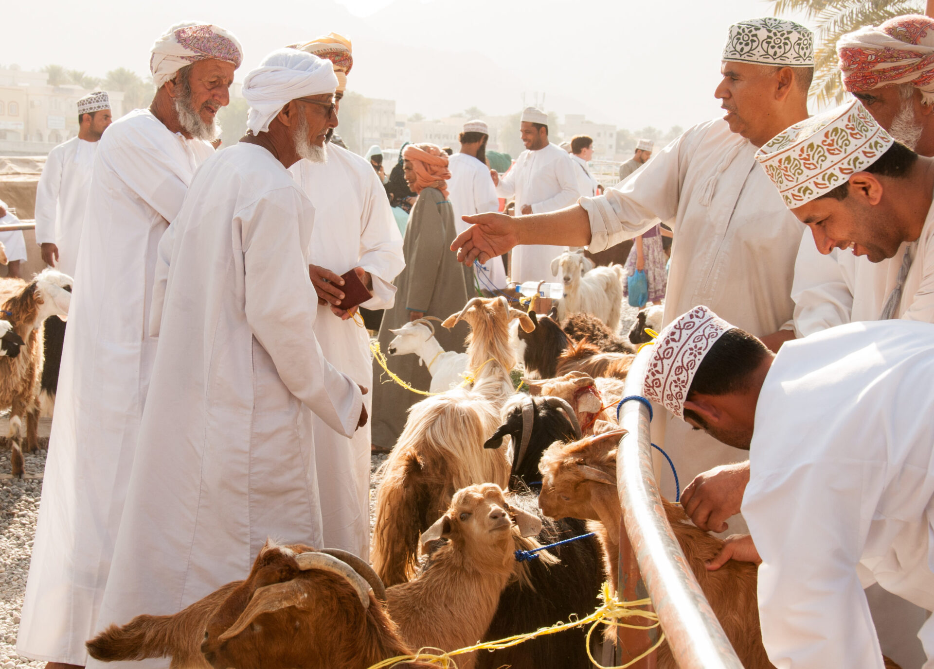 To nejlepší z Ománu | Poznávací zájezdy do Ománu