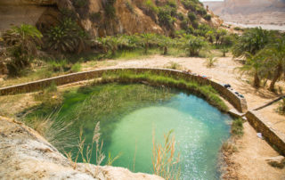 Relax ve Wadi Bani Khalid | Omán poznávací zájezdy