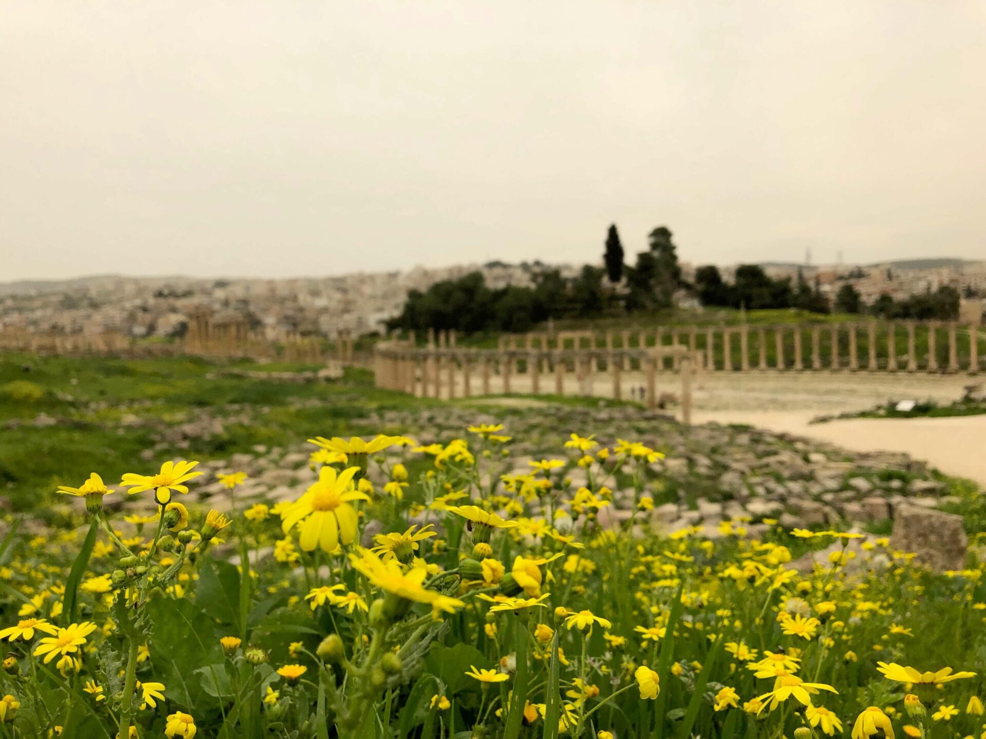 Jerash na jaře