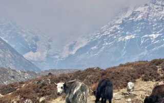 Trek údolím Langtang Nepál CK HAMIDI