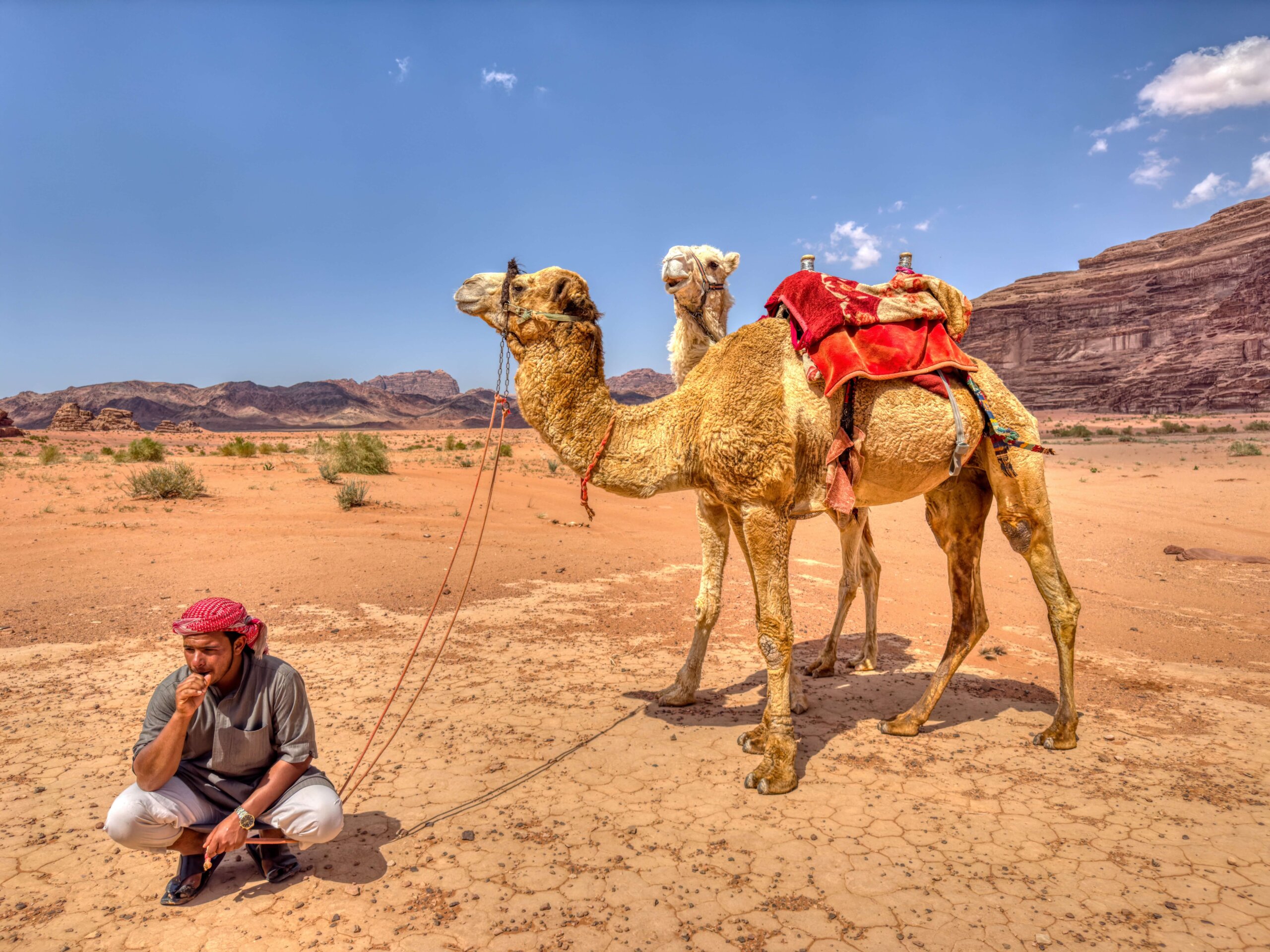 Karavana Wadi Rum CK HAMIDI